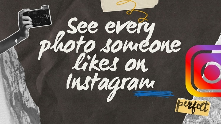 see every photo someone likes on instagram